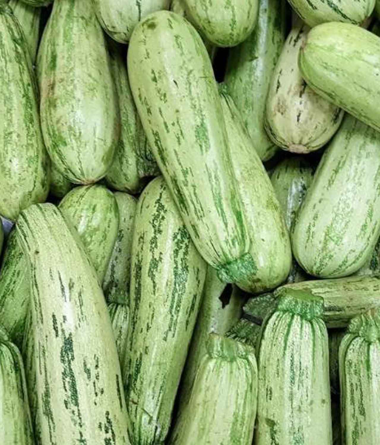 Abobrinha Italiana Orgânica (aproximadamente 500g) - Imagem 2