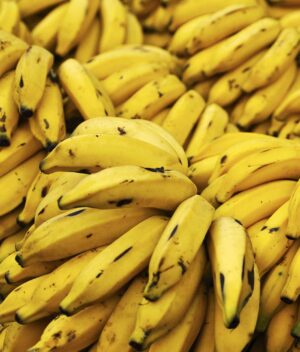 Banana Prata Orgânica