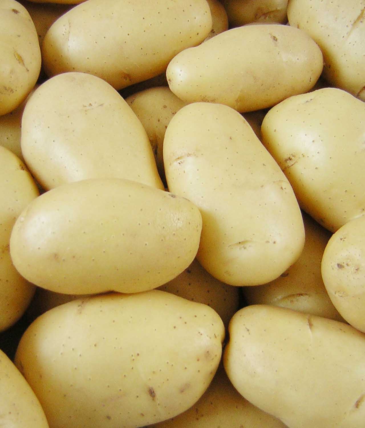 Batata Inglesa Branca Orgânica (500g) - Imagem 2