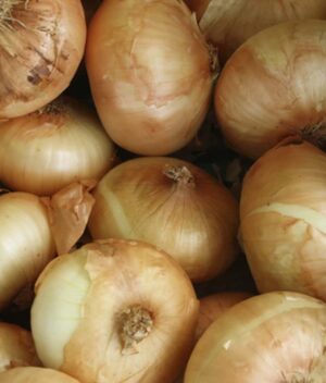 Cebola Orgânica