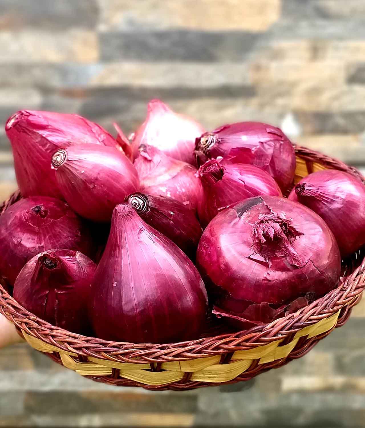 Cebola Roxa Orgânica (500g)