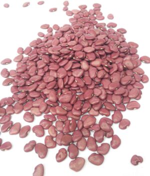Feijão Crioulo Peruano Orgânico (250g) - Bellé