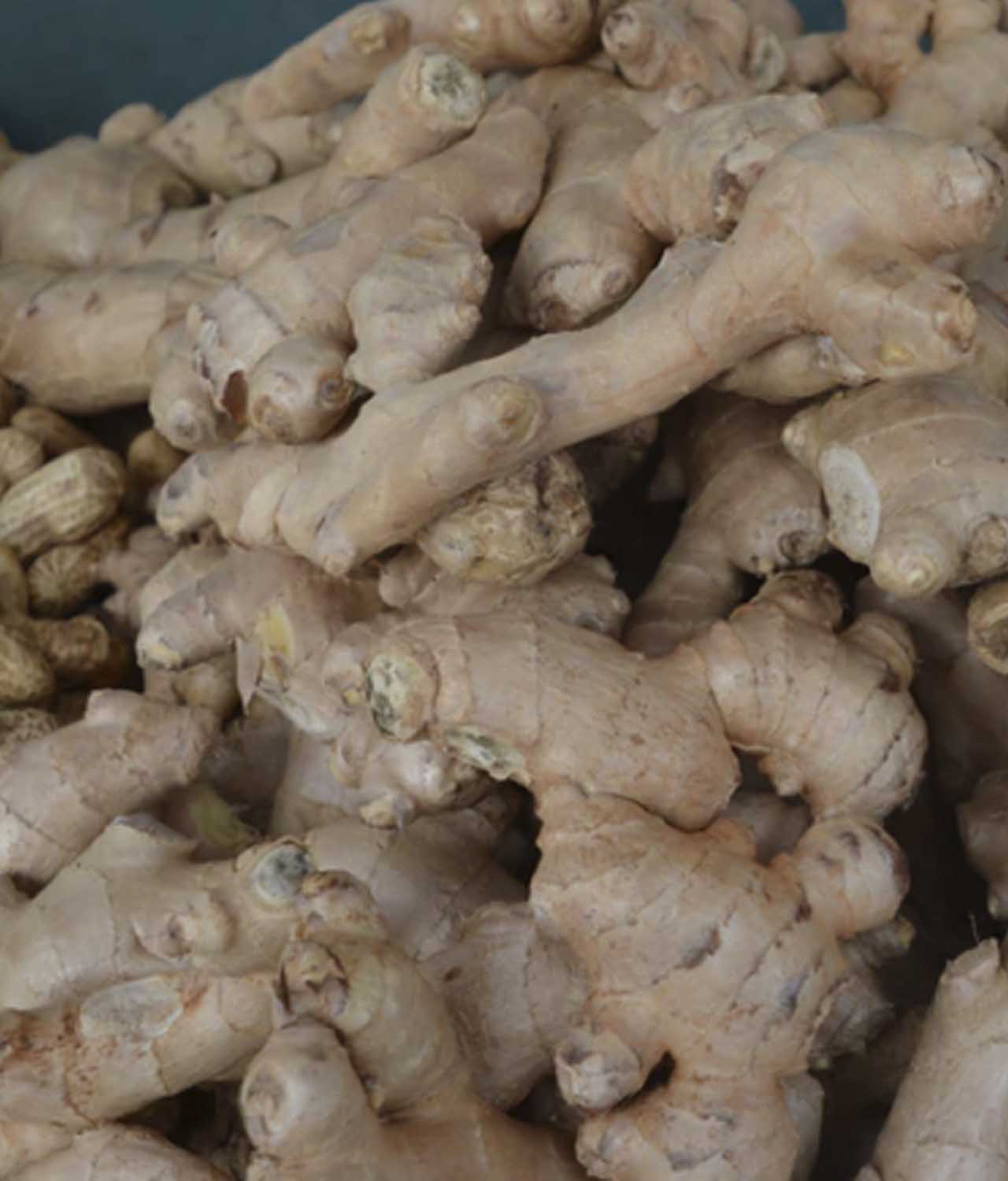Gengibre Orgânico (100g) - Imagem 2