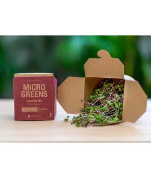 Microgreens Rainbow Mix Orgânico (50g) - Urban Farmcy