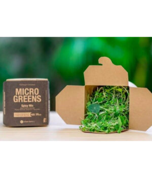 Microgreens Spicy Mix Orgânico (50g) - Urban Farmcy