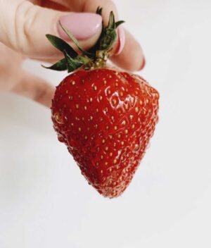 Morango Orgânico