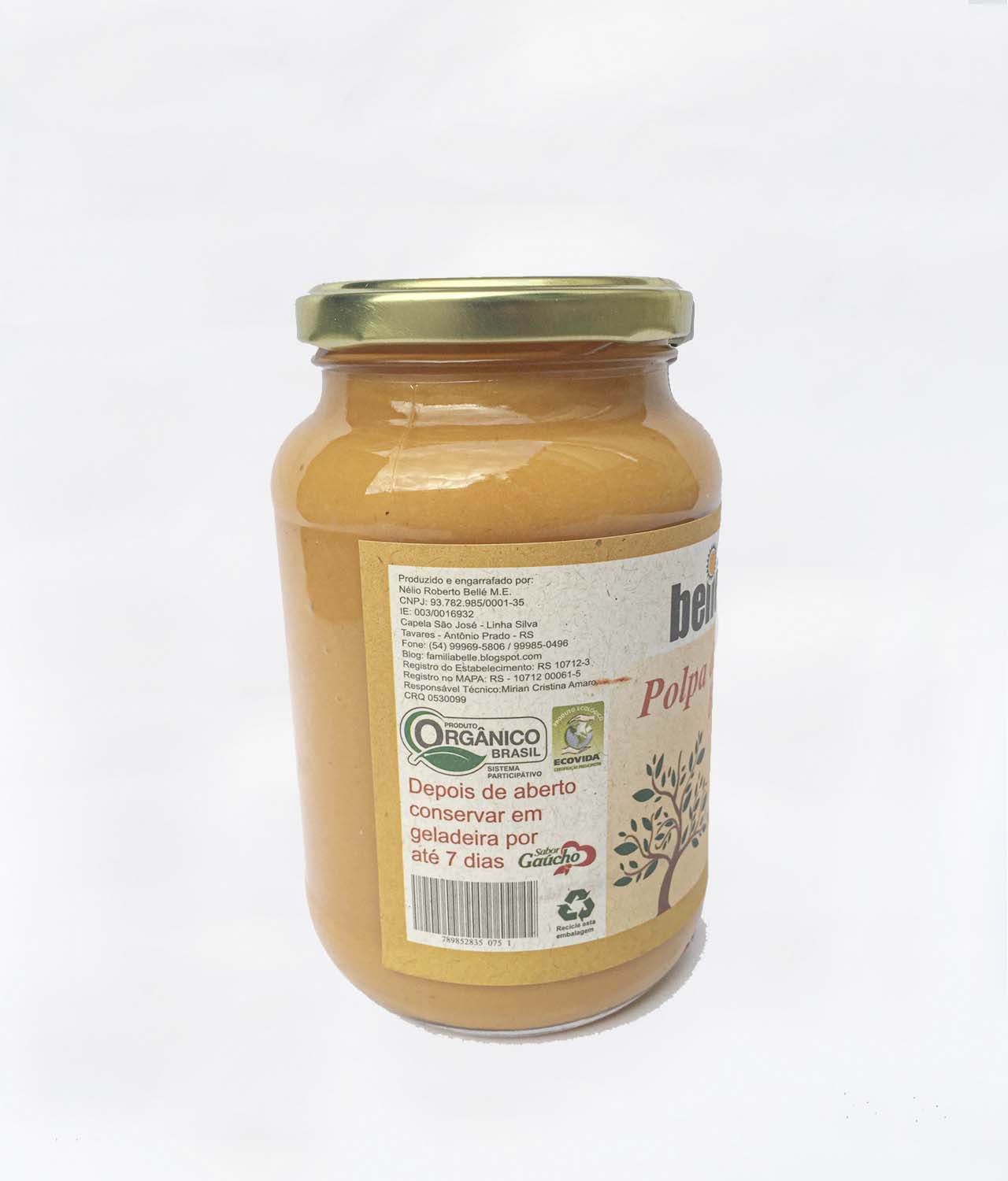Polpa de Butiá Orgânica (600g) - Bellé - Imagem 2