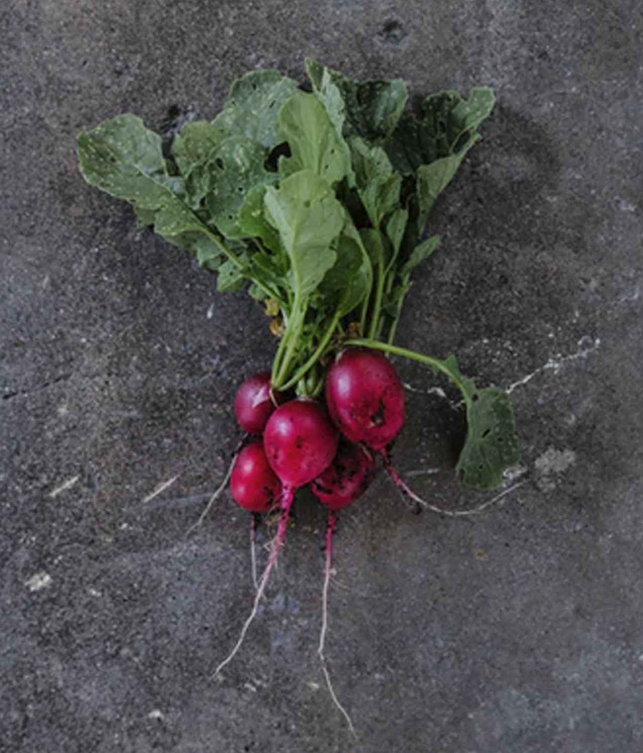 Rabanete Orgânico (molho) - Imagem 2