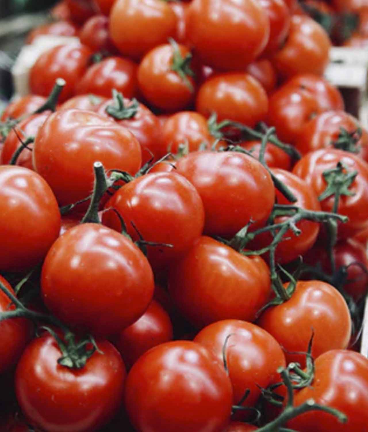 Tomate Cereja Orgânico (200g) - Imagem 2