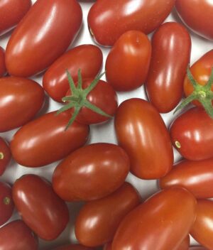 Tomate Mini Italiano Orgânico (300g)