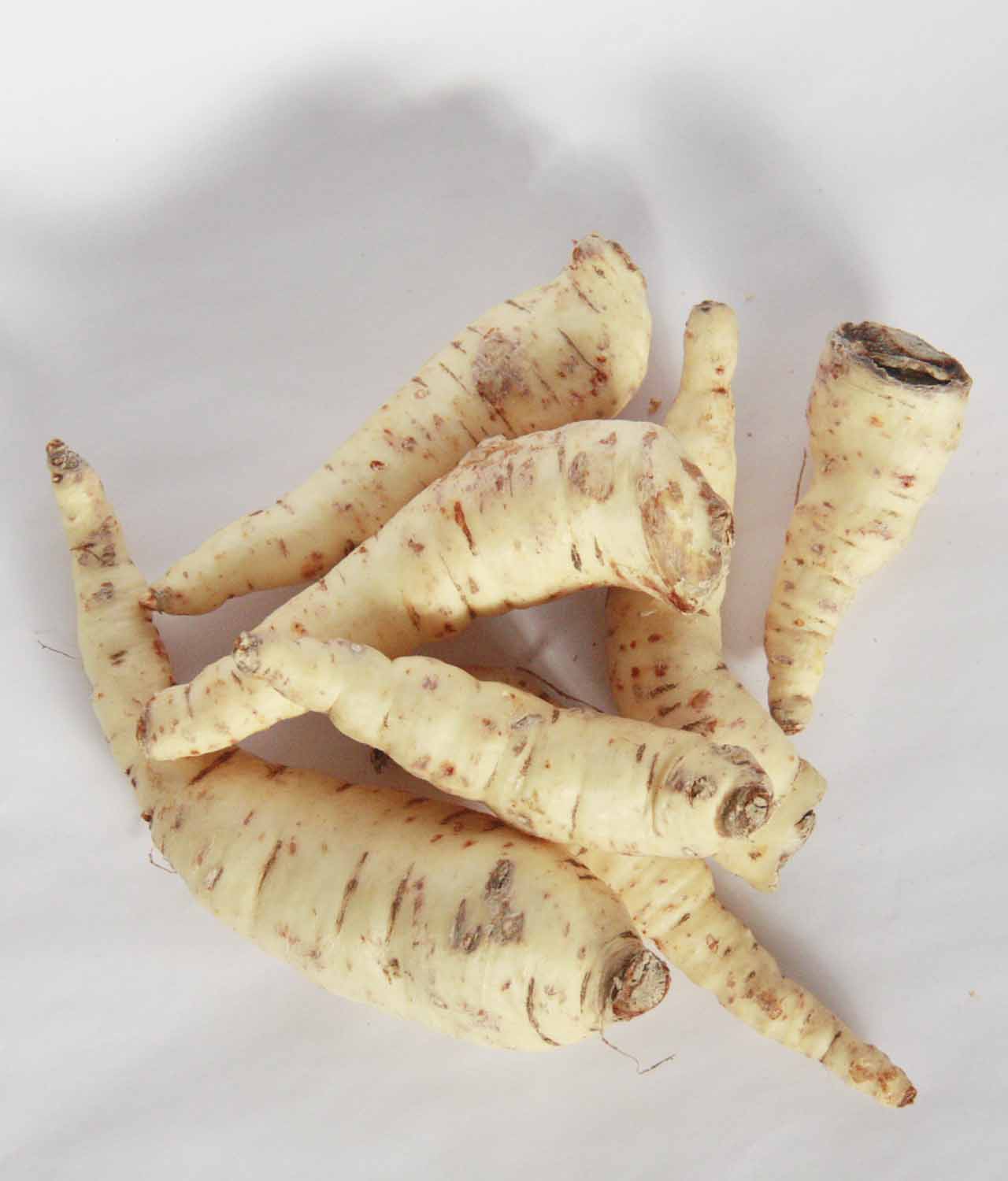 Batata Baroa Orgânica (Mandioquinha / Batata Salsa) (500g) - Imagem 3