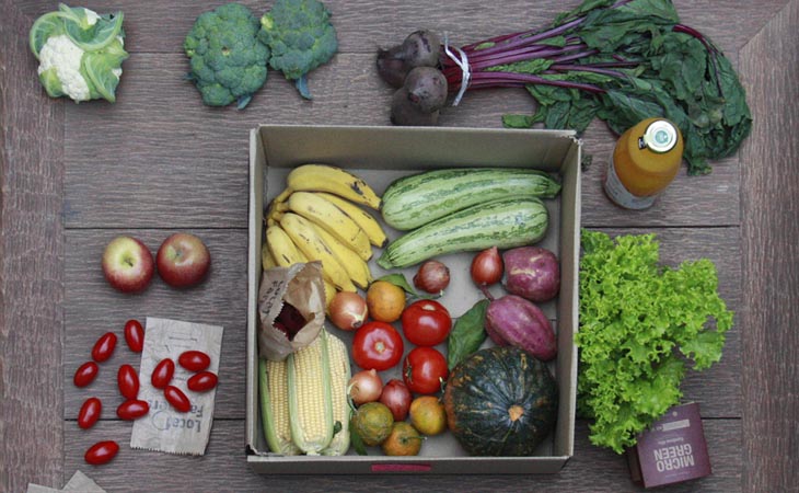 Box de Receita