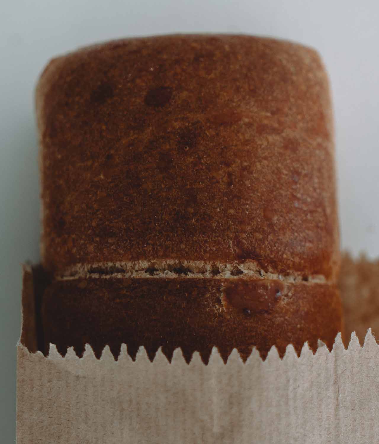 Pão Integral de Forma Orgânico (400g) - Toda Vida