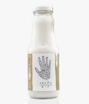 Bebida Vegetal de Arroz e Coco Orgânica (300ml) - Adapa Bio