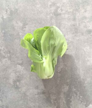 Bok Choy Orgânico