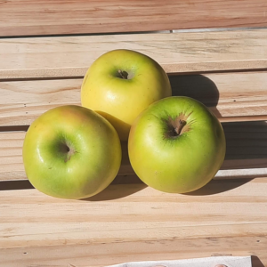 Maçã Verde Importada Orgânica (500g)