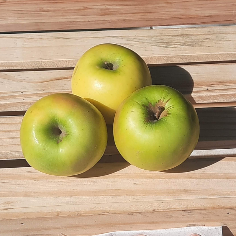 Maçã Verde Importada Orgânica (500g)