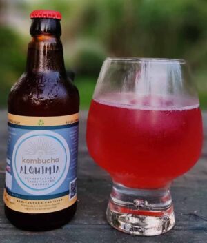 Kombucha de Amora com Hibisco