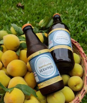 Kombucha de Pêssego com Rosas