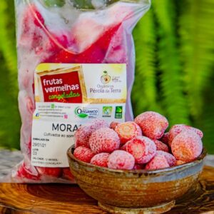 Morango Congelado Orgânico (500g) - Pérola da Terra