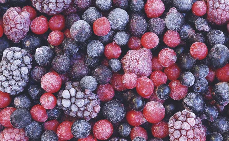 Frutas Congeladas
