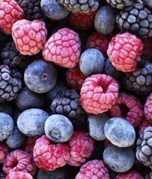 Mix Frutas Congeladas Orgânicas