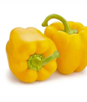 pimentão_amarelo_organico