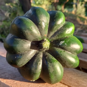 Abóbora Pérola Negra Orgânica (aprox. 1kg)