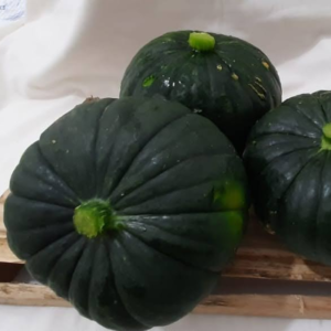Abobrinha de Tronco Orgânica (aprox. 350g por unidade)