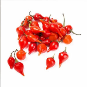 Pimenta Biquinho Orgânica (100g)