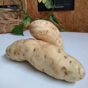 Batata Doce Branca Orgânica (650g)