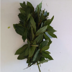 Folhas de Louro Orgânicas (molho)