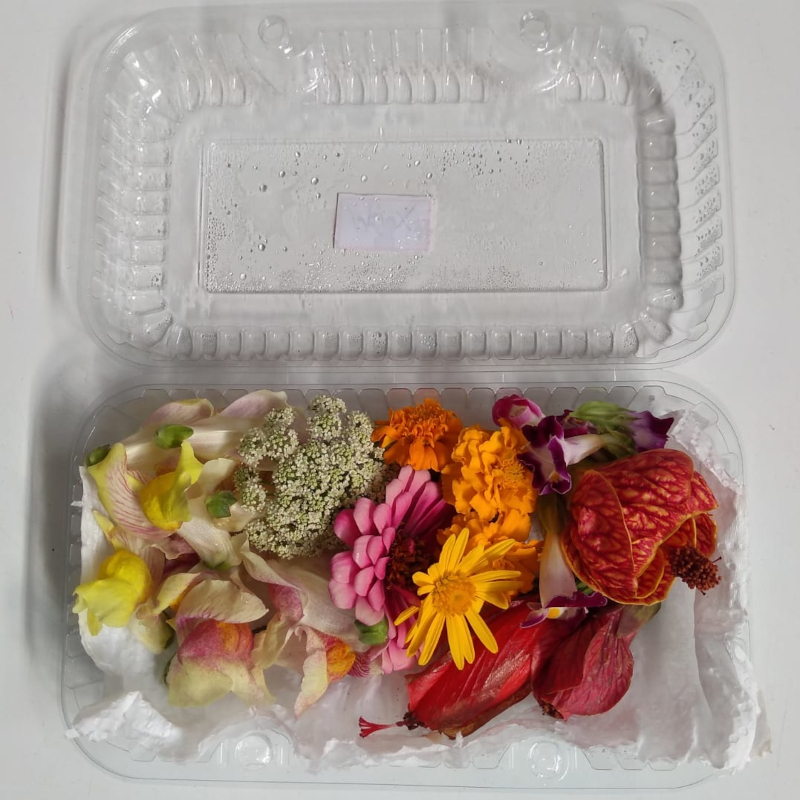 Flores Comestíveis Orgânicas - Mix (bandeja) - Imagem 2