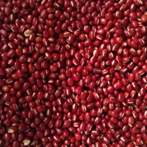 Feijão Vermelho Orgânico (1 Kg)