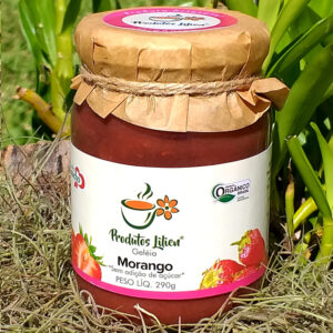 Geleia de Morango Sem Açúcar Orgânica (290g) - Produtos Lilien