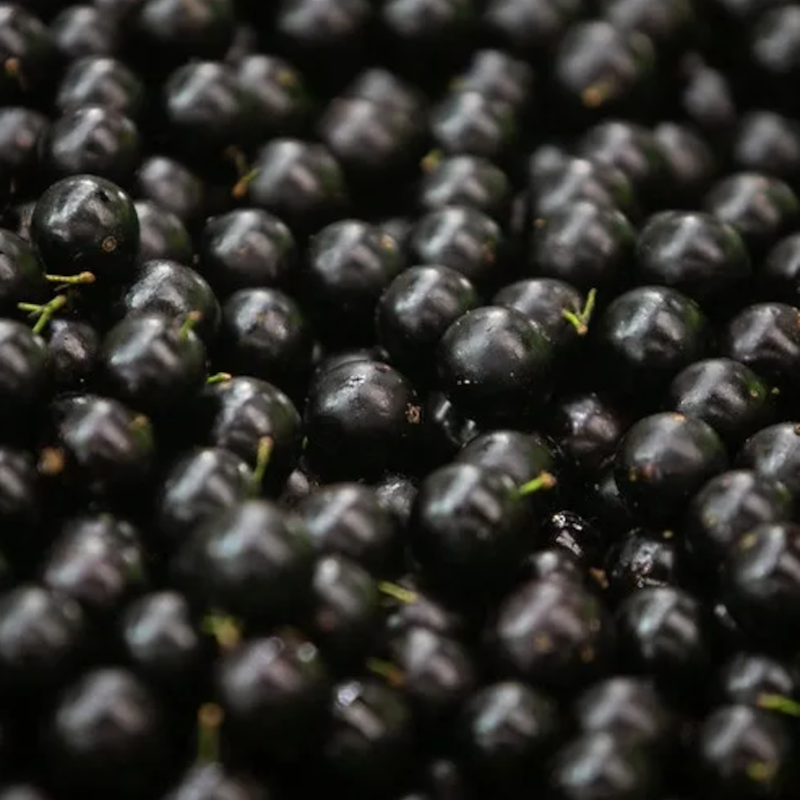 Jabuticaba Orgânica (250g)