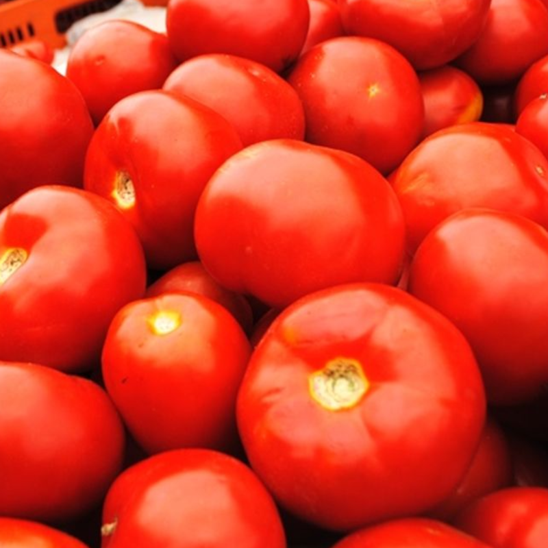 Tomate Longa Vida (500g)